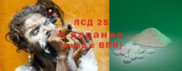 хмурый Белокуриха