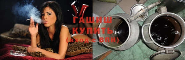 хмурый Белокуриха