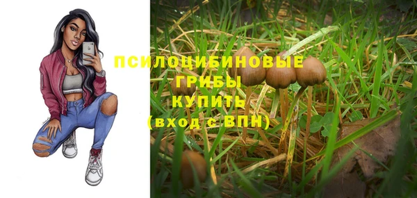 не бодяженный Баксан