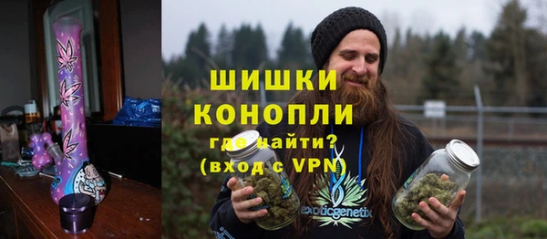 хмурый Белокуриха