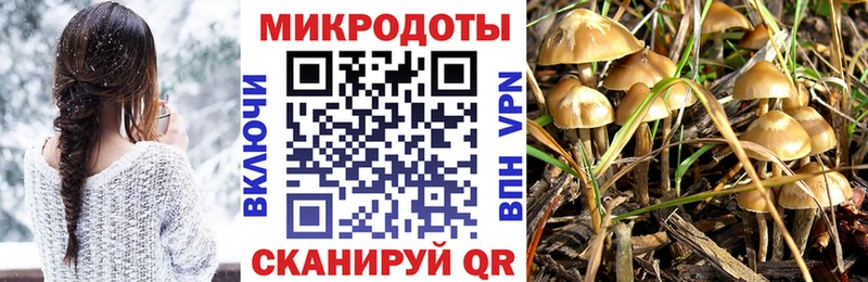 Псилоцибиновые грибы GOLDEN TEACHER  где купить наркоту  Свирск 